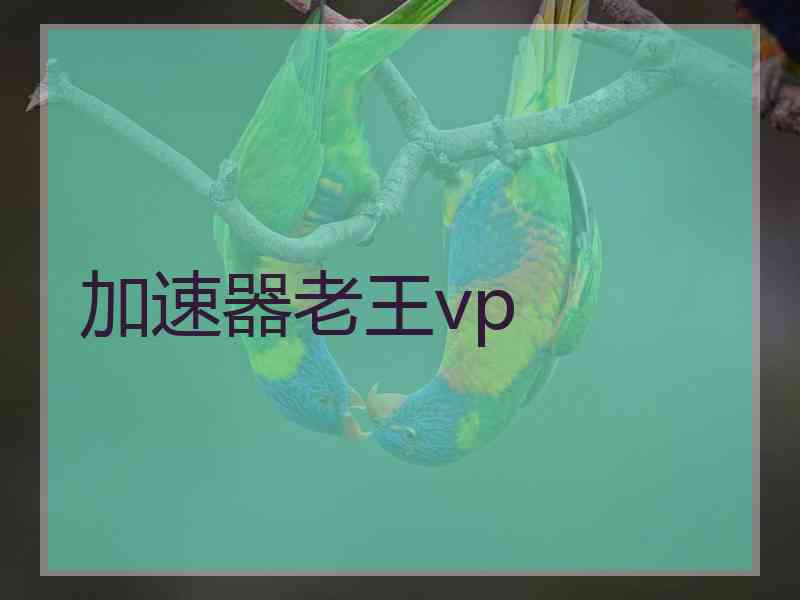 加速器老王vp