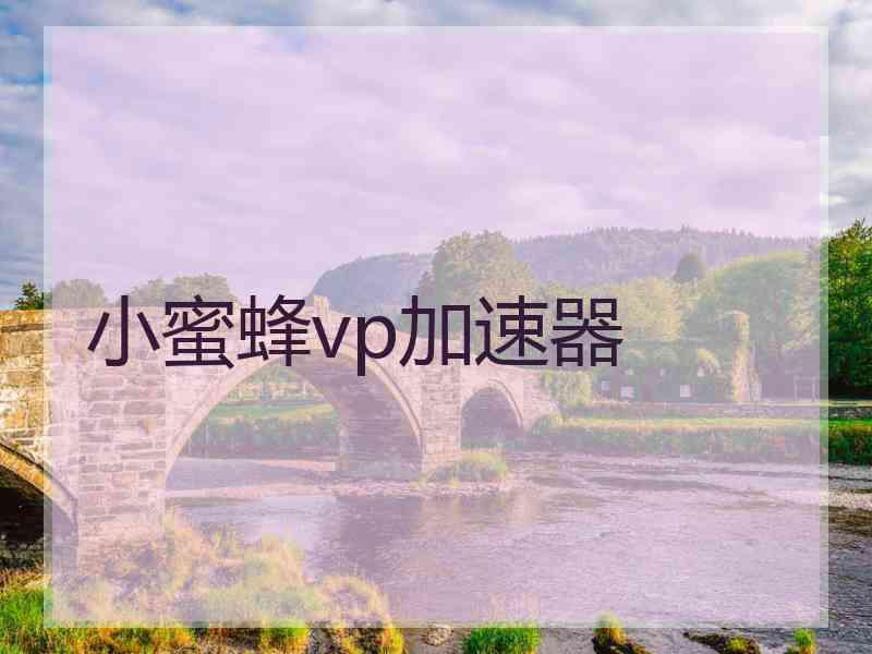 小蜜蜂vp加速器