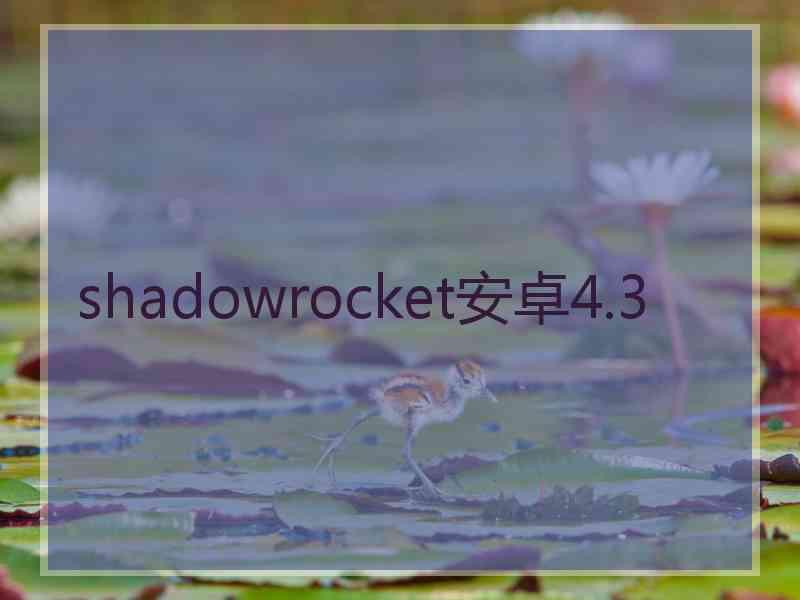 shadowrocket安卓4.3