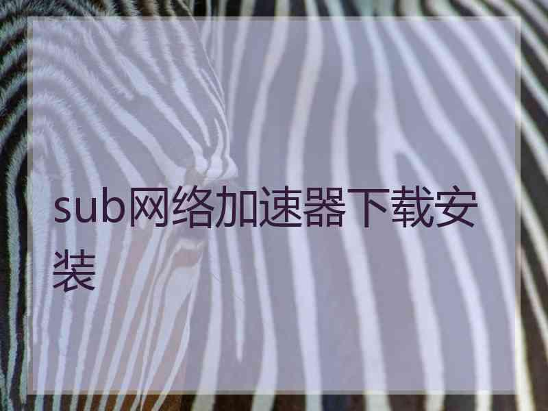 sub网络加速器下载安装