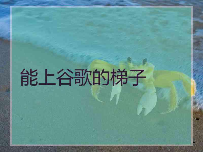 能上谷歌的梯子