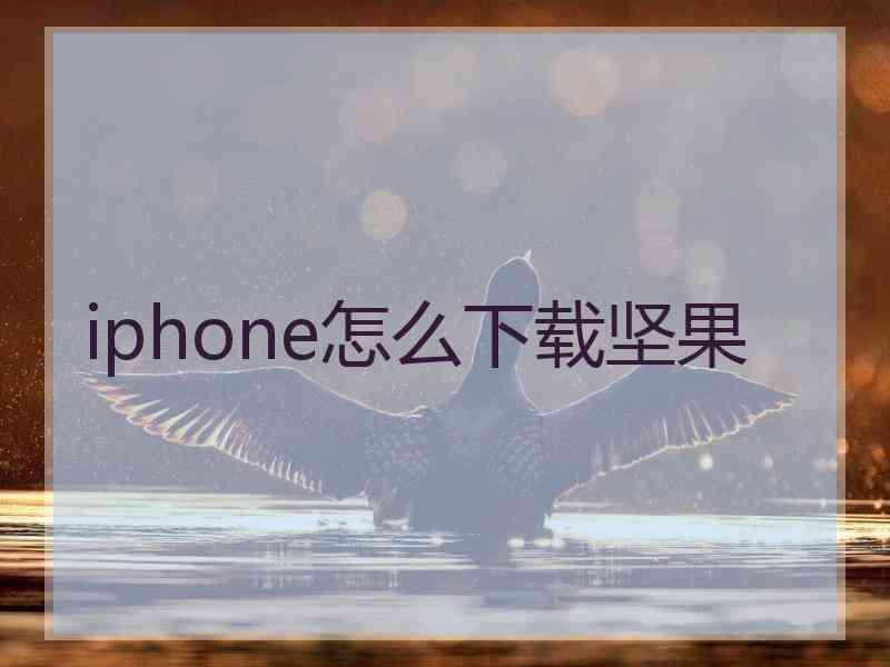 iphone怎么下载坚果