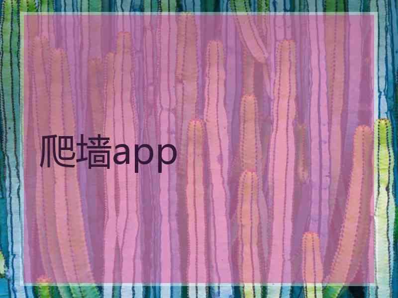 爬墙app