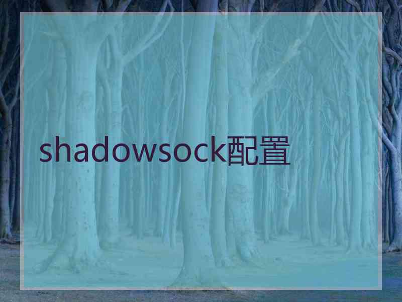 shadowsock配置