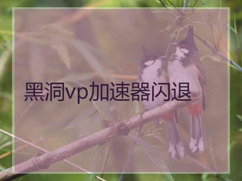 黑洞vp加速器闪退