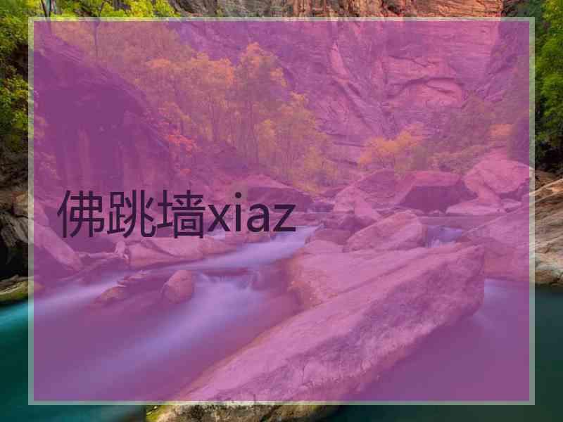 佛跳墙xiaz