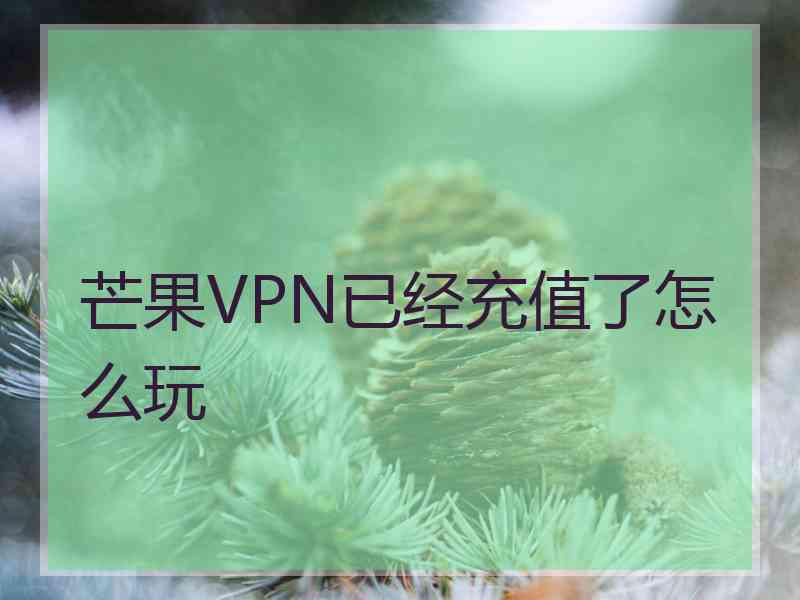 芒果VPN已经充值了怎么玩