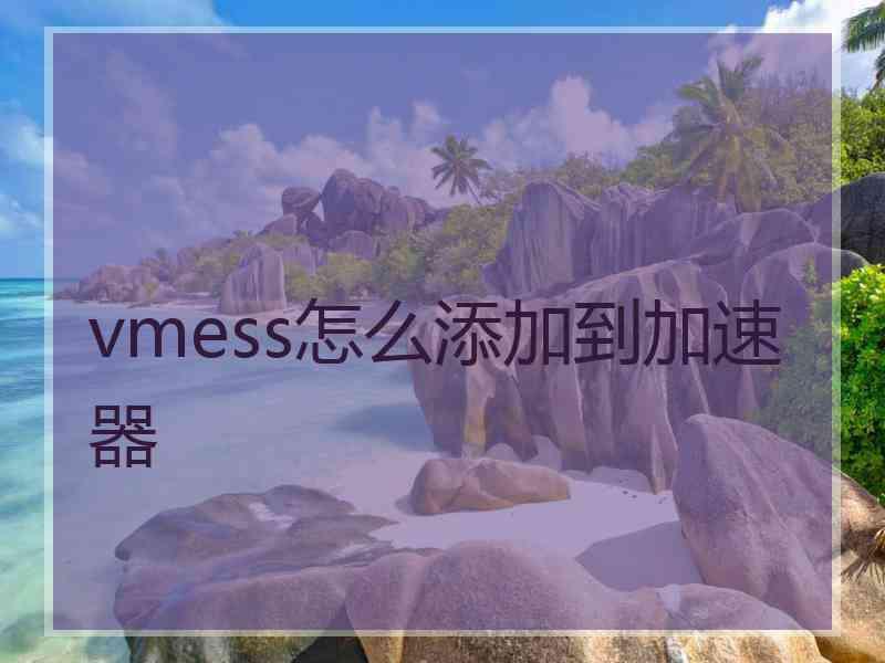 vmess怎么添加到加速器