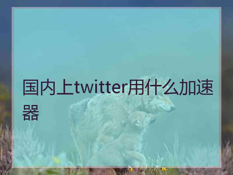 国内上twitter用什么加速器