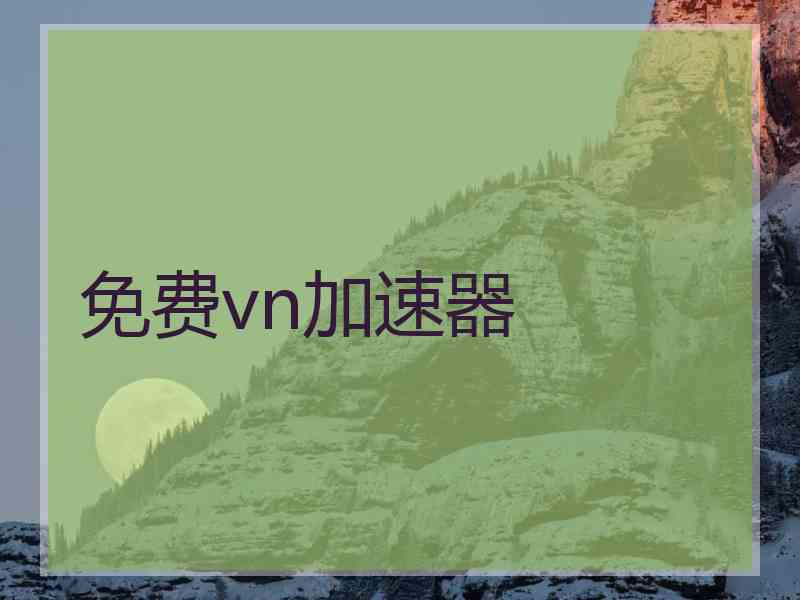 免费vn加速器