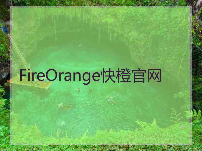 FireOrange快橙官网