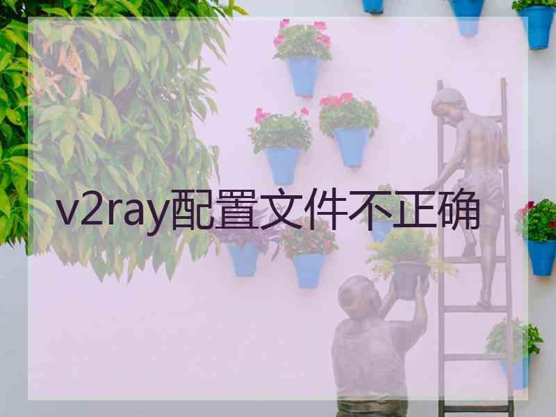 v2ray配置文件不正确