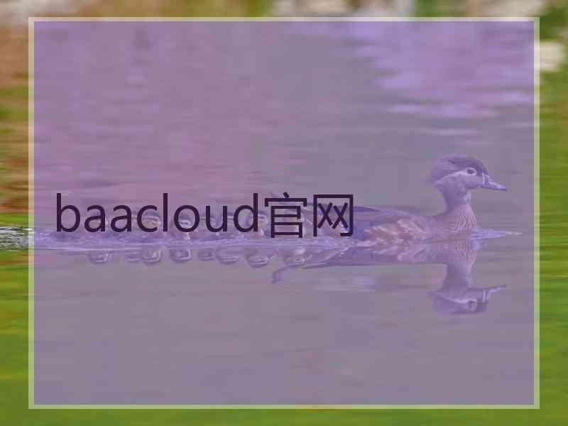 baacloud官网