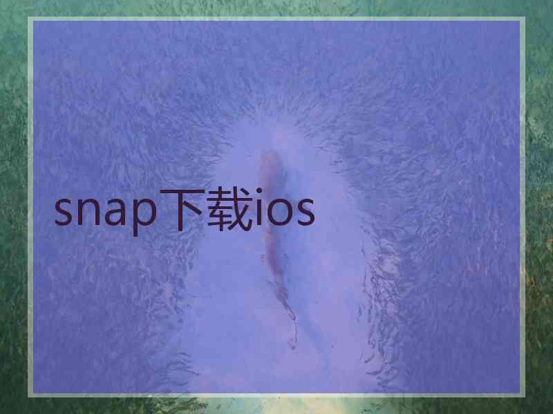 snap下载ios