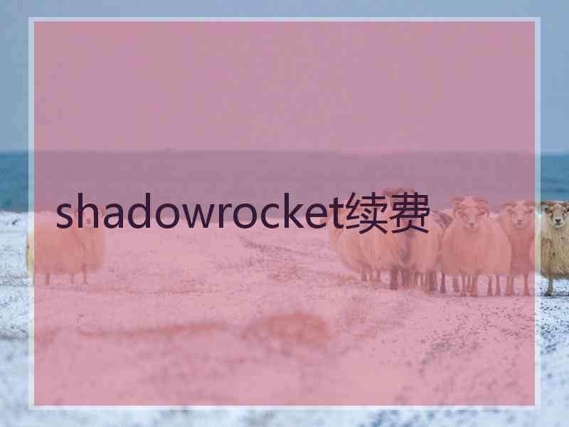 shadowrocket续费