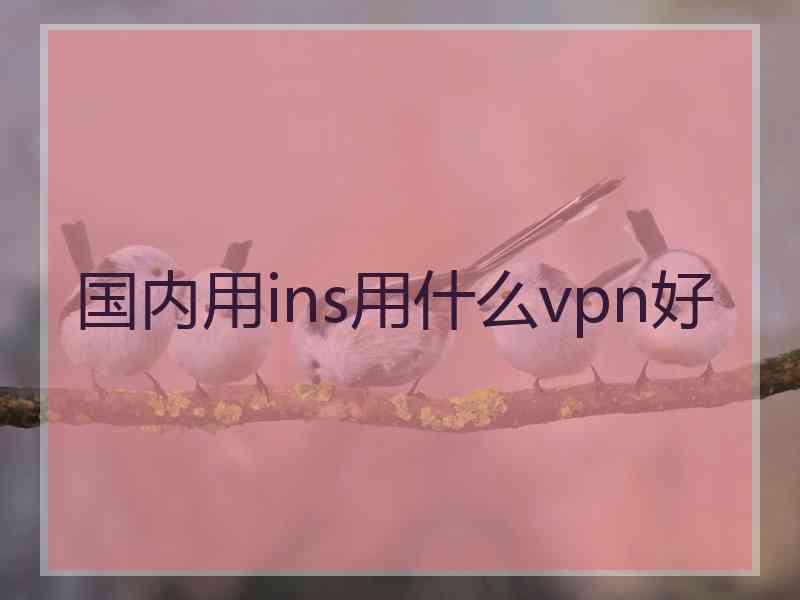 国内用ins用什么vpn好