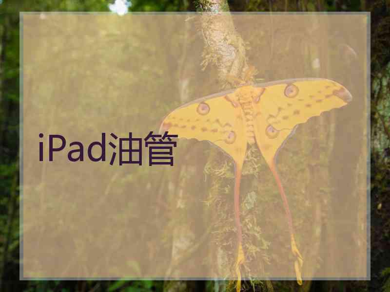 iPad油管