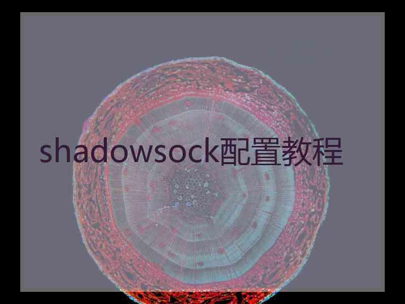 shadowsock配置教程