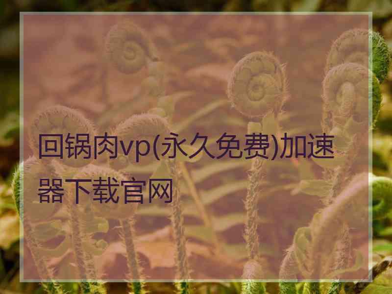 回锅肉vp(永久免费)加速器下载官网