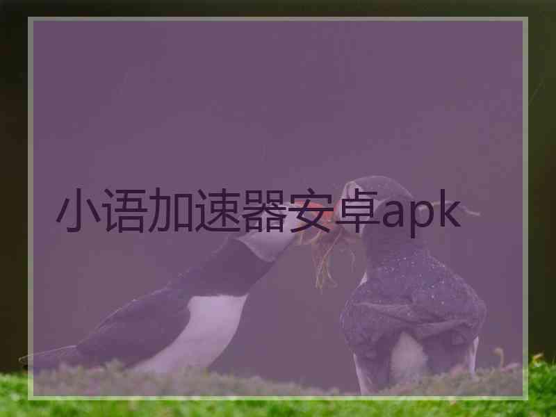 小语加速器安卓apk