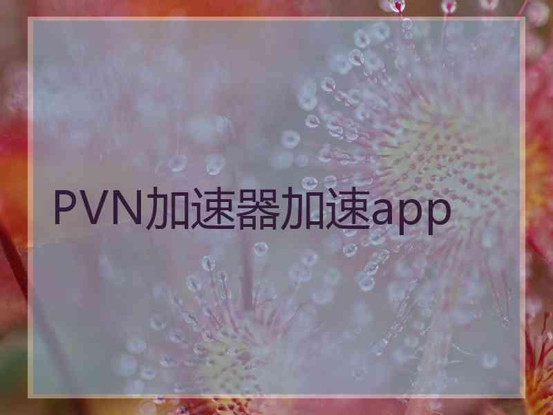 PVN加速器加速app