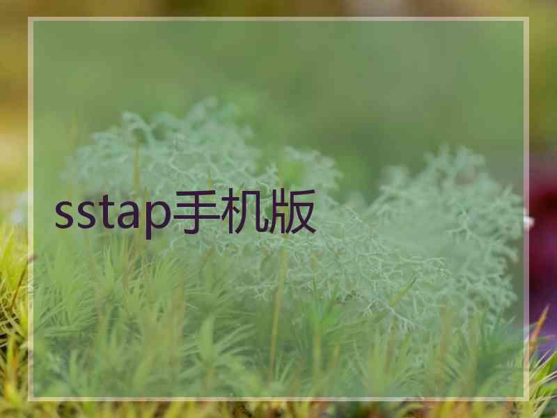 sstap手机版