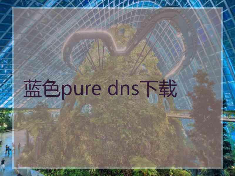 蓝色pure dns下载