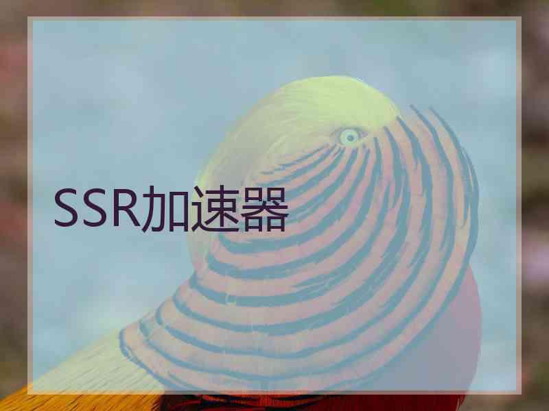 SSR加速器