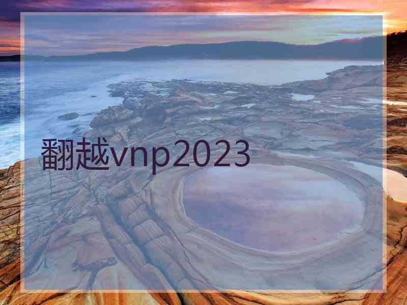 翻越vnp2023