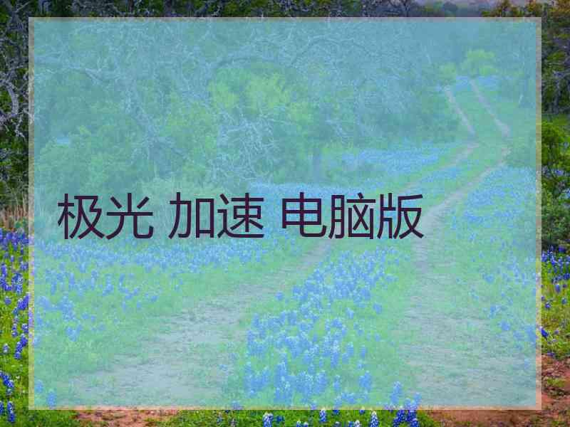 极光 加速 电脑版