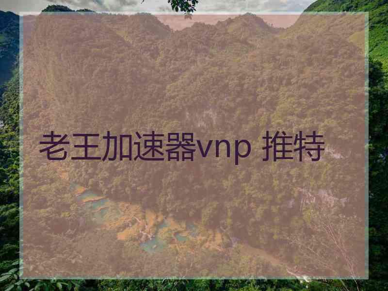 老王加速器vnp 推特