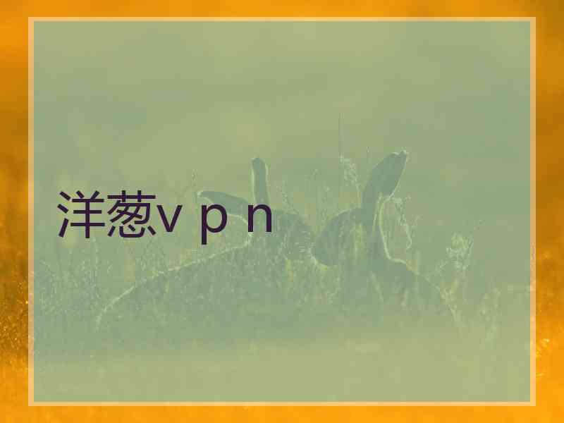 洋葱v p n