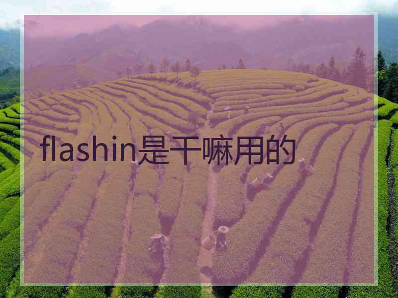 flashin是干嘛用的