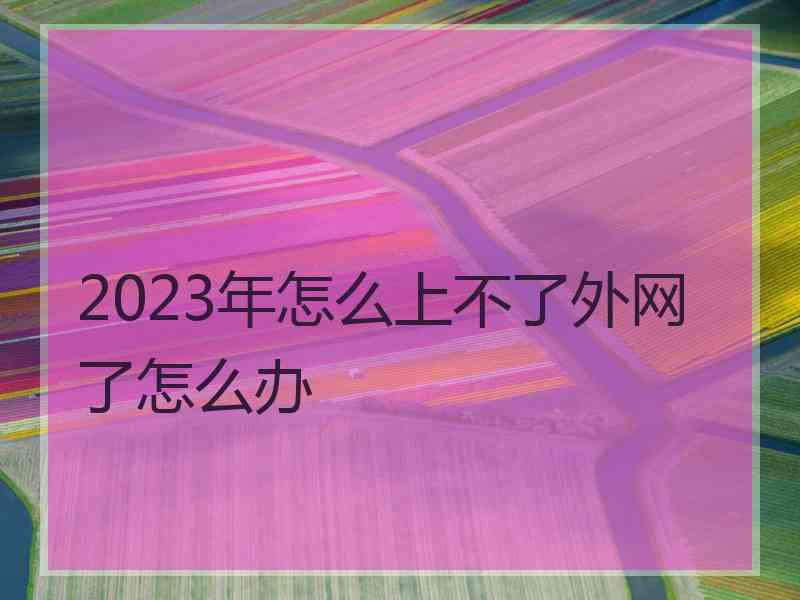 2023年怎么上不了外网了怎么办