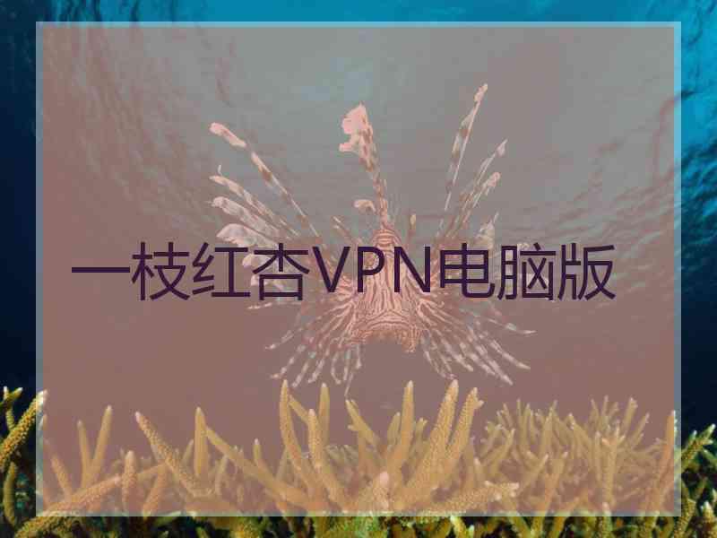 一枝红杏VPN电脑版