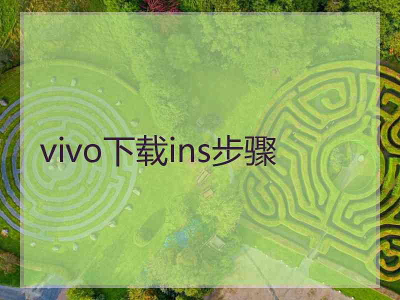 vivo下载ins步骤