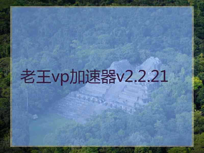 老王vp加速器v2.2.21