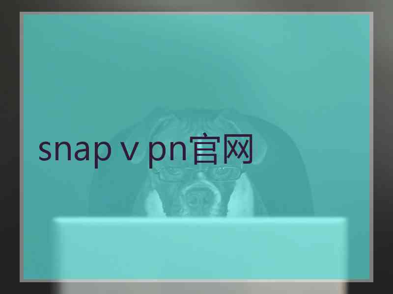 snapⅴpn官网