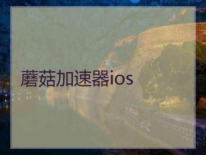 蘑菇加速器ios