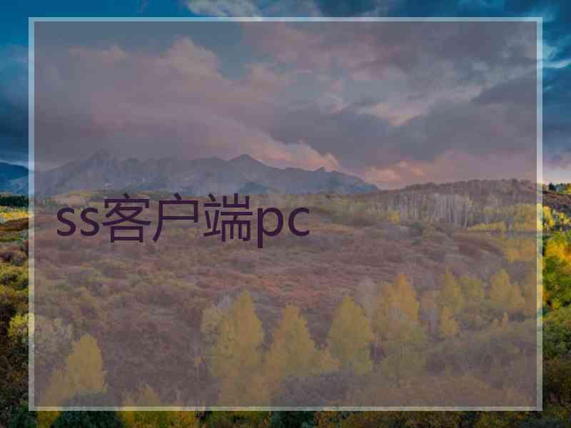 ss客户端pc