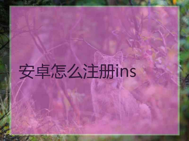 安卓怎么注册ins