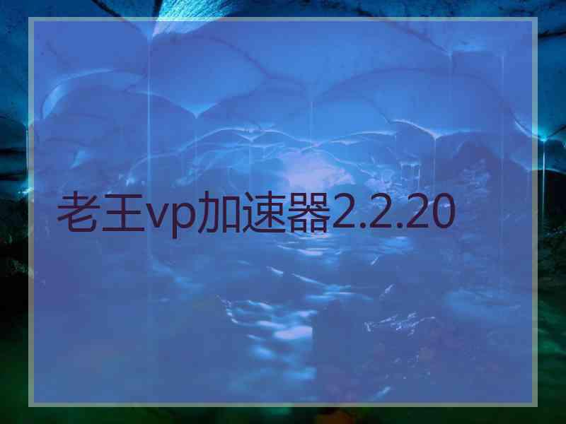 老王vp加速器2.2.20