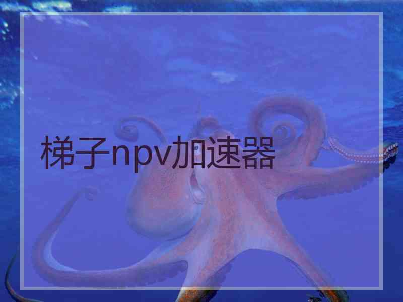 梯子npv加速器