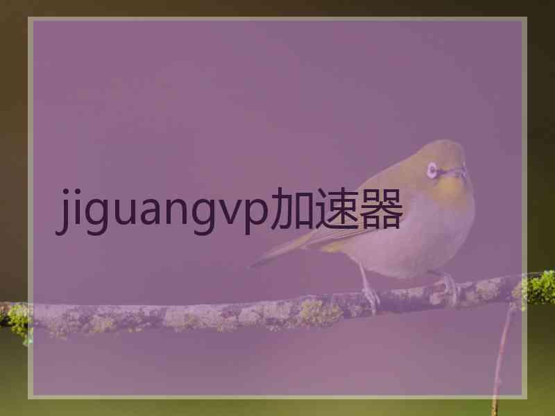 jiguangvp加速器