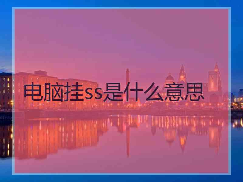 电脑挂ss是什么意思