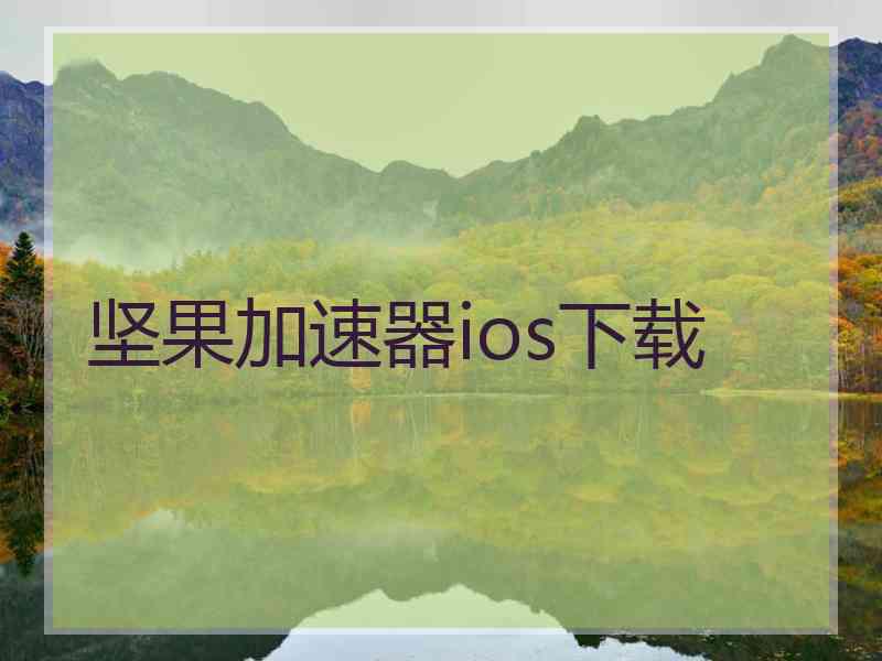 坚果加速器ios下载